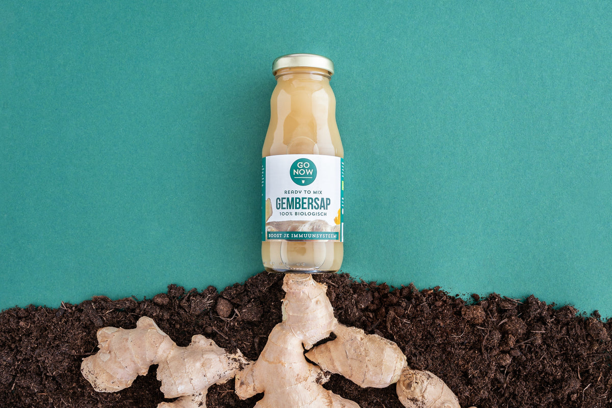 Bottle of Go Now ginger juice among fresh ginger roots on soil